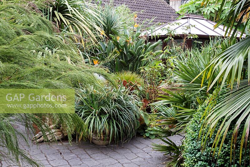 Subtropical garden with exotic planting.