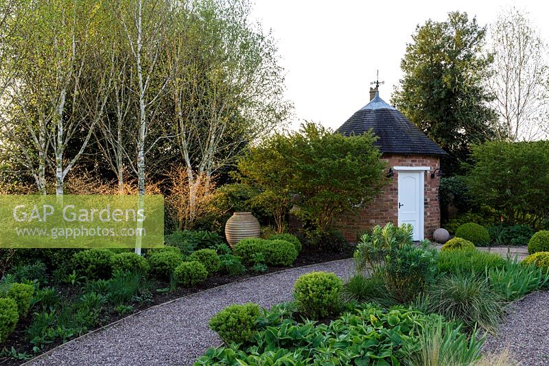 Mitton Manor Garden in spring, Staffordshire. The formal box topiary garden backed by Silver Birch trees