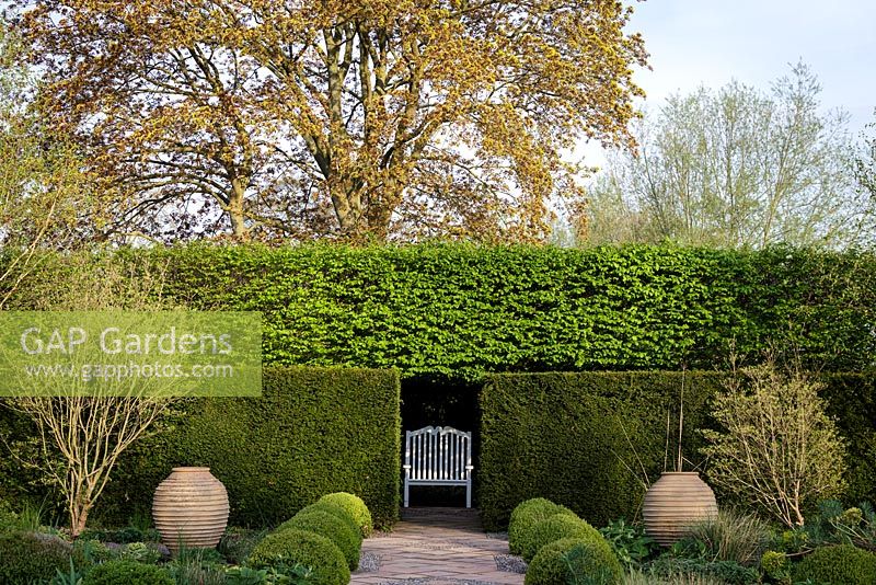 Mitton Manor Garden in spring, Staffordshire. Simple white bench amongst hedging in The formal box topiary garden