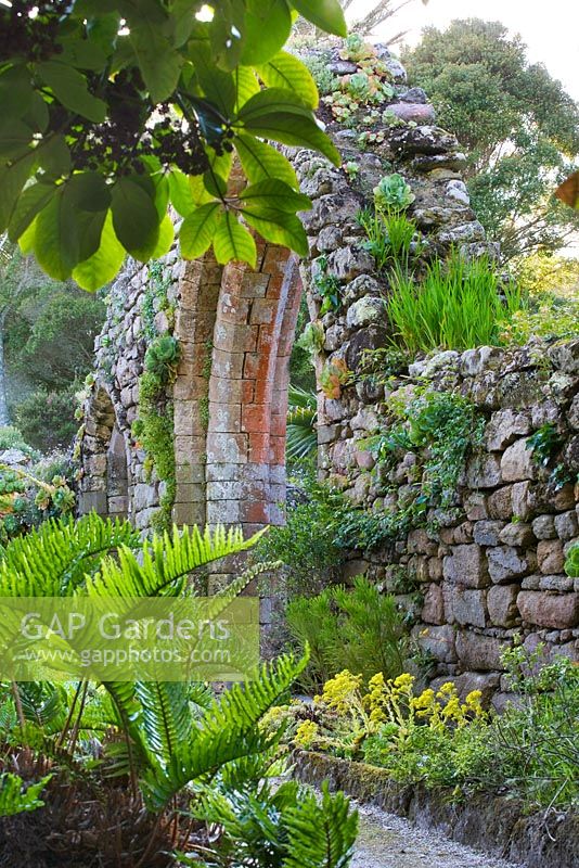 Ruin of the old Abby.  Tresco Abbey Garden, Tresco, Isles of Scilly. 