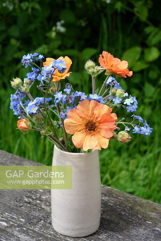 Orange Geum with forget-me-nots in small pottery vase
