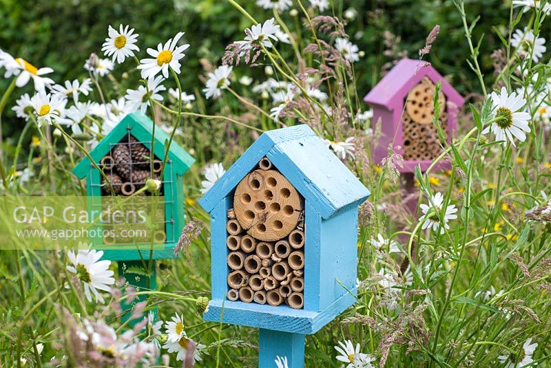 Bug boxes situated in small wildflower area of garden, aimed at attracting pollinating red mason bees.