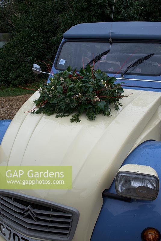 Christmas wreath making workshop. Completed wreath on a vintage Citroen car bonnet featuring Hedera - Ivy, red sprayed fir cones, dried apples, Pinus - Christmas tree twigs, red twigs and Cinnamon sticks. on her December, St Francis Cottage