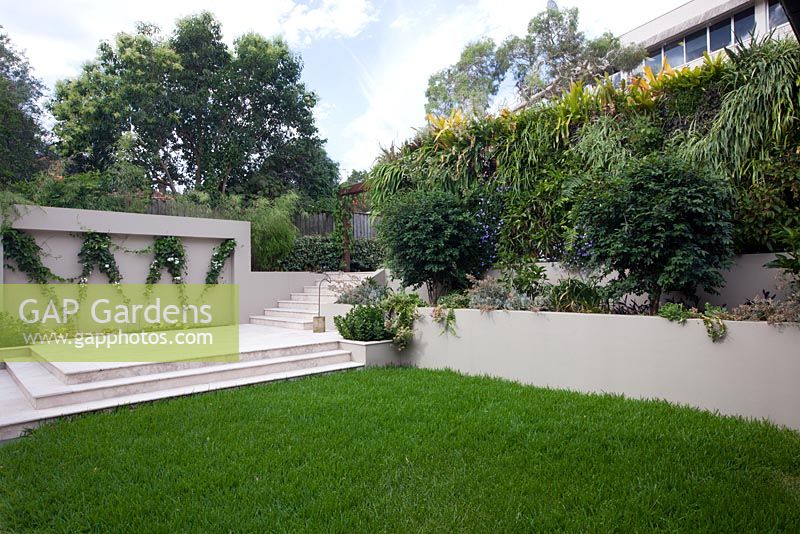 Lawn area with a masonry feature wall, steps, raised terraced garden bed featuring a vertical garden.