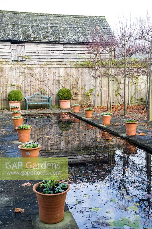 The Canal, framed by pleached limes and terracotta pots, has a wooden seat framed by pots of clipped box at one end. 