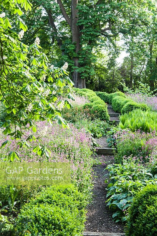 Paths edged with undulating hedges of clipped box lead down into the dell garden, awash with a matrix of planting including ferns, pink Silene dioica, orange euphorbia and Phlomis russeliana.