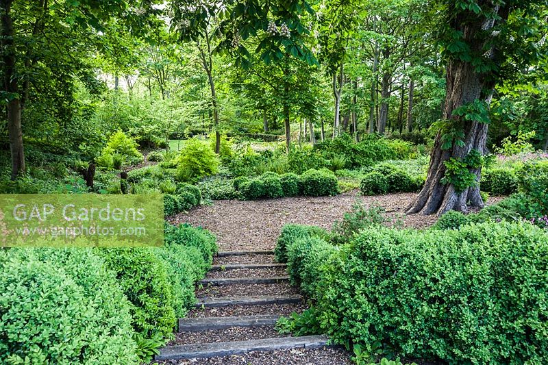 Steps edged with hedges of clipped box lead down into the dell garden, where a circular area below a mature horse chestnut tree is kept free of plants, echoing the circular grass performance space at the far end.