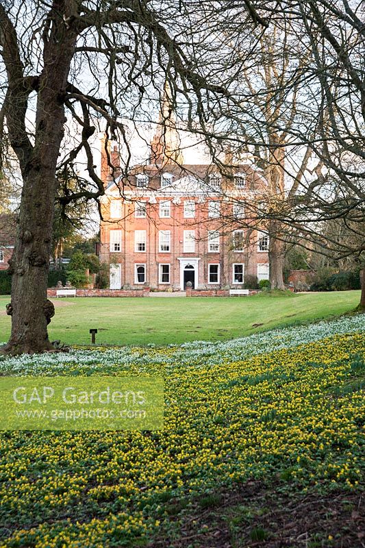 View of the early C18th facade of Welford House, dating from C17th, framed by carpets of yellow aconites and white snowdrops. Welford Park, Newbury, Berks, UK