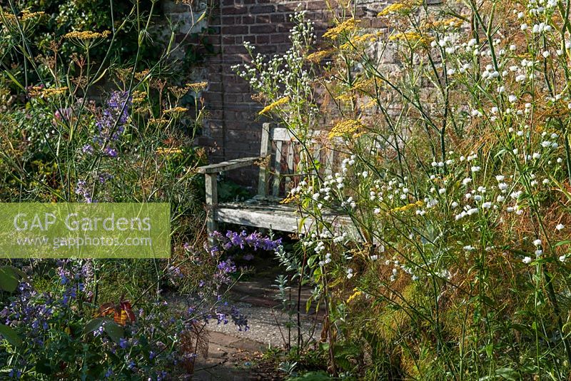 Secluded wooden bench in small garden 