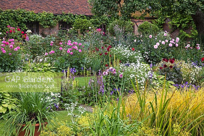 Chenies Manor 'Sunken Garden' - Showing double borders with Dahlia, Sisyrinchium, Petunia, Hosta, Greanium, Argyranthemum, Eryngium, Tanacetum parthenium, Agapanthus, Rosa - Chenies Manor Gardens, Bucks, UK