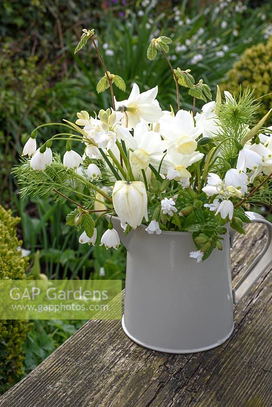 White spring floral arrangement in enamel jug including Narcissus, Fritillaria meleagris 'Alba, Hyacinthoides hispanica 'Alba', Leucojum vernum and muscari