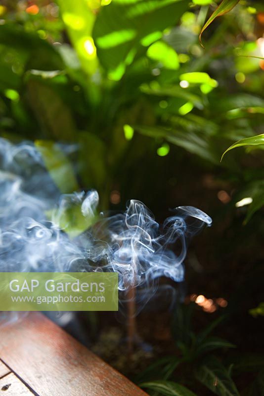 Smoke from a citronella incense stick wafting through a garden to repell biting and annoying insects.