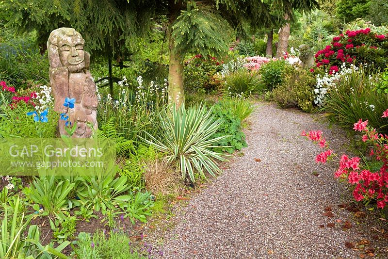 A sandstone statue surrounded by Meconopsis poppies, Phormium, Carex and Azaleas at Mount Pleasant Gardens, Kelsall, Cheshire in June