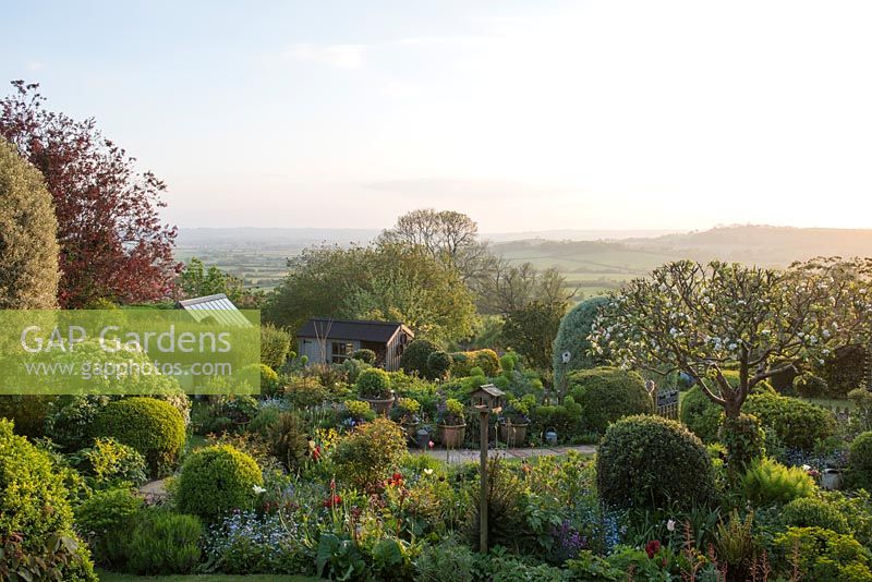 View over garden towards Blackmore Vale at sunset