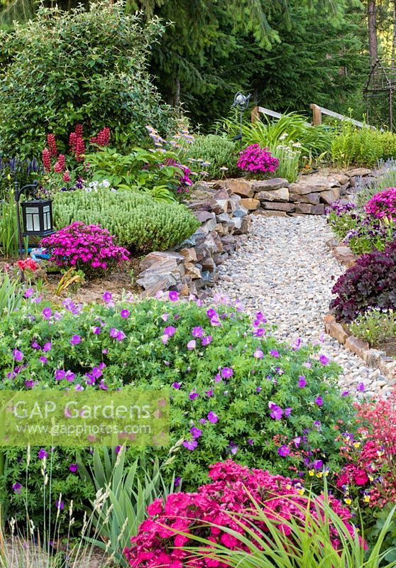 Summer borders with Geranium, Dianthus and Lupinus 