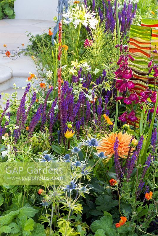 New Horizons, Colourful planting including drought resistant choices such as Eryngium x zabelii 'Neptune's Gold and Geum 'Fire Opal', as well as Dahlia 'Ludwig Helfert', Salvia nemerosa 'Ostfriesland', Penstemon 'Raven',  and Agapanthus africanus 'Alba'. 