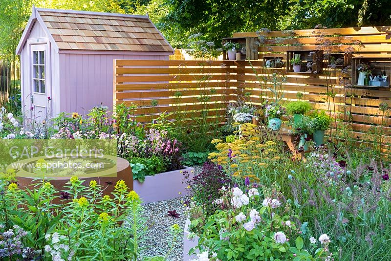 Side view across garden to pink-painted wooden shed. Large circular earthenware water feature with waterlilies on gravel, with raised beds surrounding it, and garden tools and vases of cut flowers on a wooden table at the back of the garden. Plants in the foreground include Rosa 'Blush Noisette',  Euphorbia, Astrantia major 'Pink Pride', and  chocolate cosmos - Cosmos 'Chocamocha'. RHS Hampton Court Palace Flower Show 2016