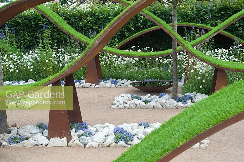 'The World Vision Garden', designed by John Warland, waves of turf. Planting consists mainly of Hornbeam hedging, Ornamental Pear trees and meadow areas of Ox-eye daisies, intermingled with deep blue agastache, sivery blue eryngium and lilac-pink salvias. RHS Hampton Court Flower Show, July 2016.