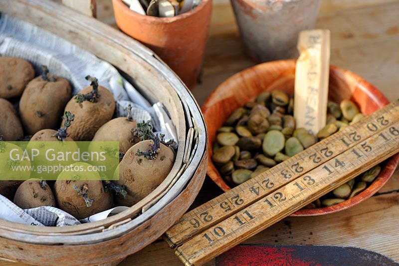 Springtime Potting bench items, pots of seeds and seed potatoes on wooden bench, UK, March