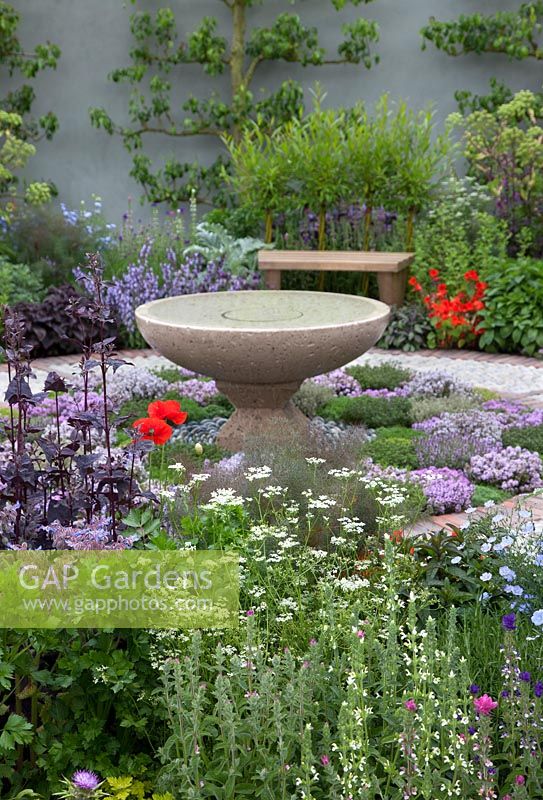 The St John's Hospice - A Modern Apothecary Garden - View of stone water bowl surrounded by planting of thyme, with Apium graveolens and Atriplex hortensis var. Rubra, and in the background, espalier-trained apple trees. RHS Chelsea Flower Show 2016. Designer: Jekka McVicar, Sponsor: St John's Hospice