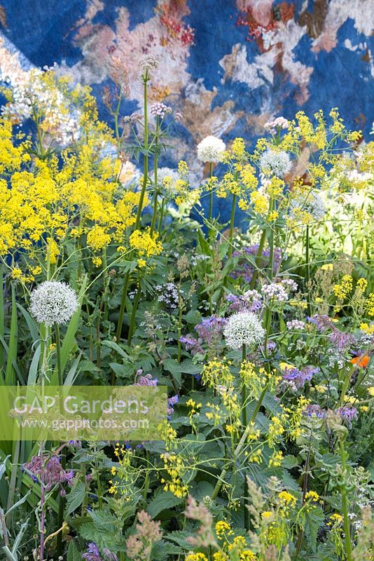 The AkzoNobel Honeysuckle Blue Garden. The RHS Chelsea Flower Show 2016. Designer: Claudy Jongstra in collaboration with Stefan Jaspers. Sponsor: AkzoNobel