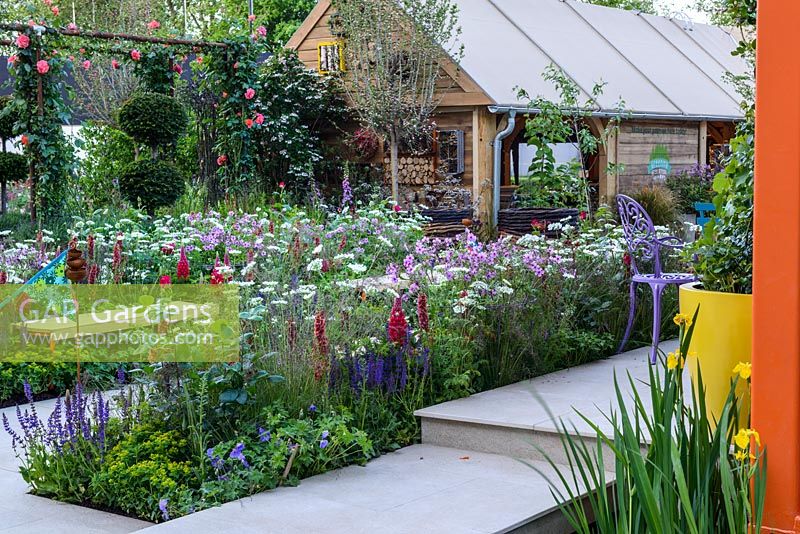 RHS Greening Grey Britain for Health, Happiness and Horticulture Garden with Lupin 'Beefeater', Salvia 'Violette de Loire', Rosa 'Big Purple', Euphorbia polychroma and a rose pergola - RHS Chelsea Flower Show 2016 - Designer: Annie-Marie Powell