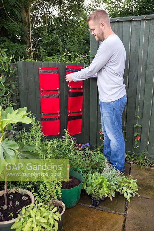 Man hanging vertical planters on a fence, using strong nails to hold the weight