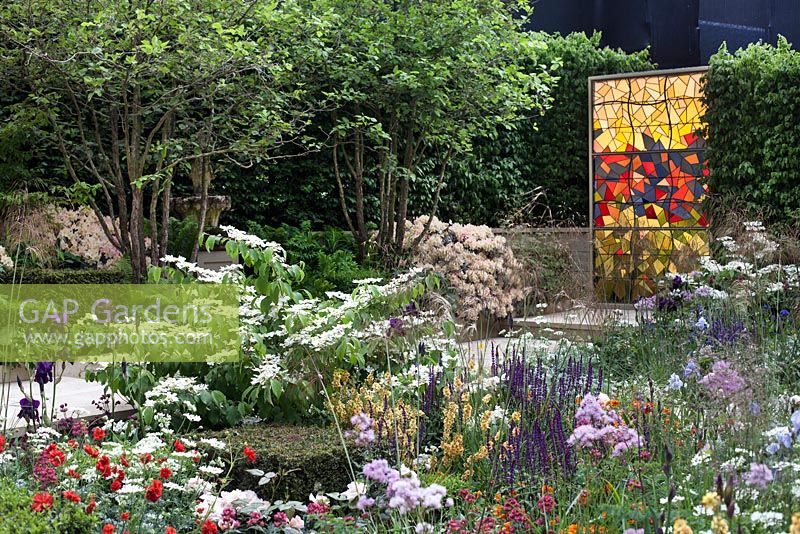 God's Own Country - A Garden for Yorkshire depicting a stained glass panel which employs techniques used in 1405 and surrounded by soft, perennial planting, including Verbascum 'Bob Staughan', Astrantia major 'Claret', Thalictrum delavayi, Orlaya gradniflora and Viburnum plicatum. RHS Chelsea Flower Show 2016, Designer: Matthew Wilson, Sponsor: Welcome to Yorkshire