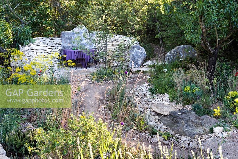 L'Occitan Garden, view of desert-like earth path with stones leading to a patio with black metal chairs, table with purple table cloth surrounded by curved sand stone fence, tree Juglans regia, Euphorbia characias subsp. wulfenii 'John Tomlison', Galium verum, Deschampsia caespitosa. RHS Chelsea Flower Show 2016, Designer: James Basson MSGD, Sponsor: L'Occitane en Provence