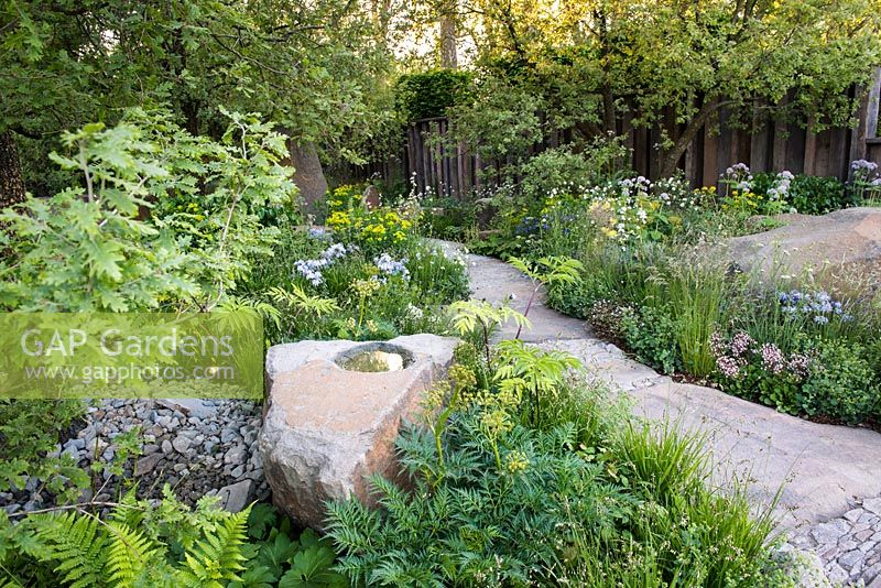 he M and G Garden, view of a stone and path surrounded by Molopospermum peloponnesiacum,  Quercus pubescens and woodland plants. RHS Chelsea Flower Show, 2016.