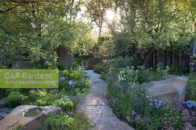 The M and G Garden - view of garden path made from Forest of Dean sandstone with stone boulders at sunrise. RHS Chelsea Flower Show, 2016 Designer: Cleve West MSGD, Sponsor: M and G 