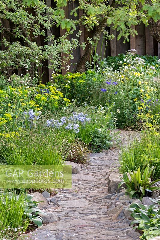 The M and G Garden: A view of a stone path through naturalistist planting inspired by Exmoor National Park. RHS Chelsea Flower Show 2016, Designer: Cleve West MSGD, Sponsor: M and G