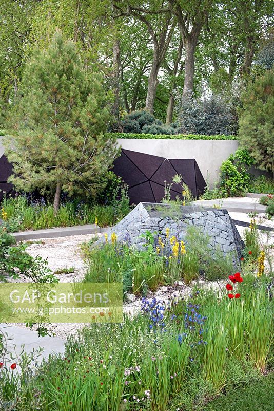 The Royal Bank of Canada Garden. Dry Mediterranean influenced garden with stone features, gravel paths, planting including Asphodeline lutea, Pinus halepensis, Papaver rhoeas and Rosa canina. The RHS Chelsea Flower Show 2016, Designer: Hugo Bugg, Sponsor: Royal Bank of Canada. 