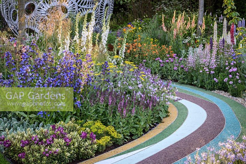 A colourful path through herbaceous perennials including Achillea 'Moonshine', Anchus azurea 'Loddon Royalist', Digitalis 'Alba', Geum rivale 'Totally Tangerine', Hebe 'Celebration', Nepeta x faasseri 'Crystal Cloud' and Verbascum 'Cotswold Beauty' in The Brewin Dolphin Garden, Forever Freefolk. The RHS Chelsea Fower Show 2016 - Designer: Rosy Hardy - Sponsor: Brewin Dolphin - SILVER GILT
