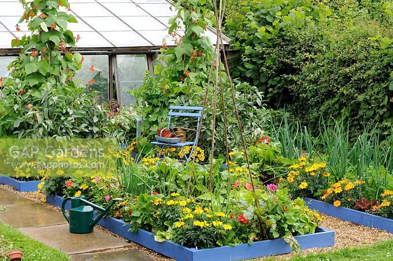 Small potager garden in mid summer showing mixed flower and vegetable planting, July,