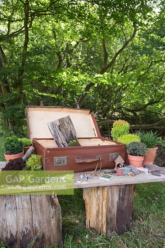 Materials required are a vintage suitcase, Moss, decorative pebbles, seashells, animal and structure figurines, tree bark, small Conifers and LED lighting