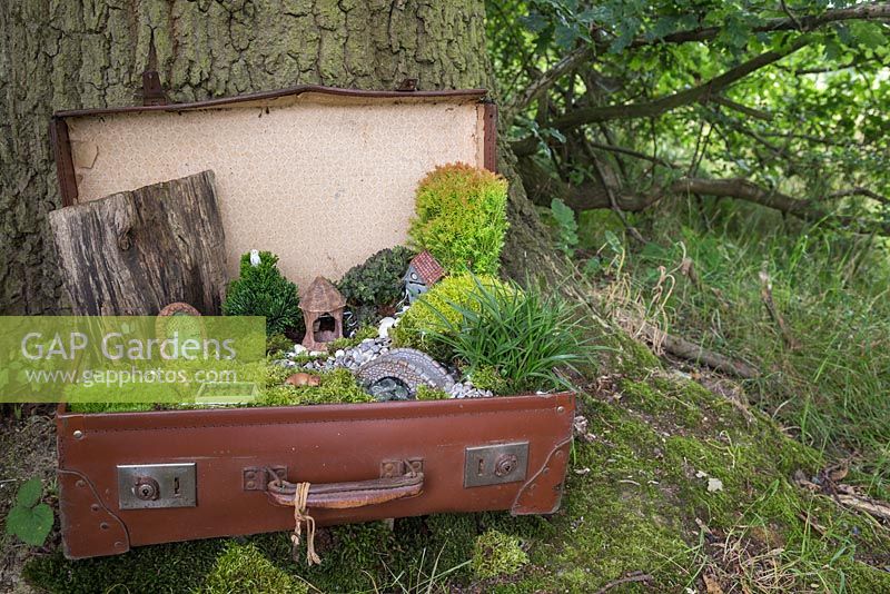 A miniature garden scene in a vintage suitcase made with Moss, decorative pebbles, seashells, animal and structure figurines, tree bark, small Conifers and LED lighting