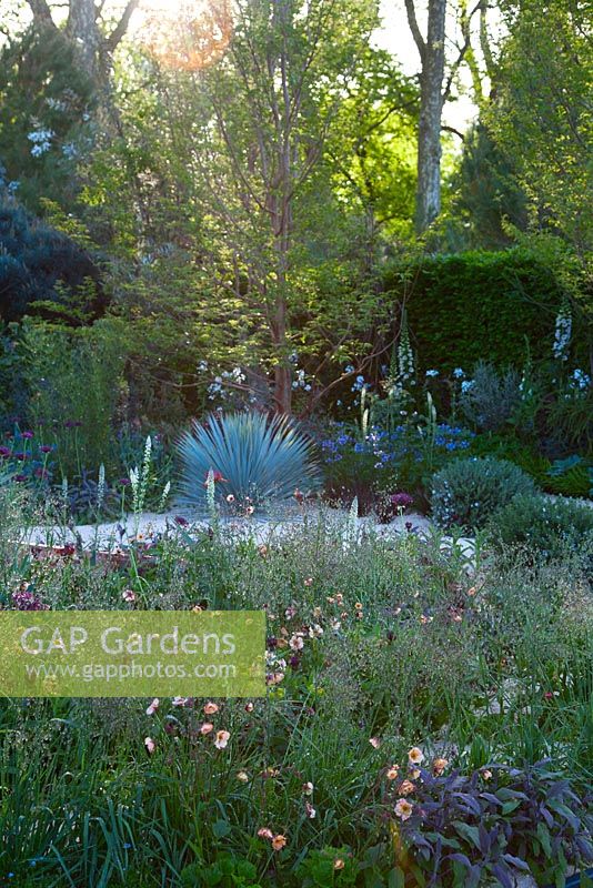 The Winton Beauty of Mathematics Garden - View of the garden at sunrise with the copper band etched with different algorithms, the garden is planted with Yucca rostrata, Stewartia pseudocamellia, Briza media, Calamagrotis x acutiflora 'Karl Foerster', Iris 'Kent Pride', Geum 'Mai Tai' and Allium atropurpureum. The RHS Chelsea Flower Show 2016, Designer: Nick Bailey, Sponsor: Winton