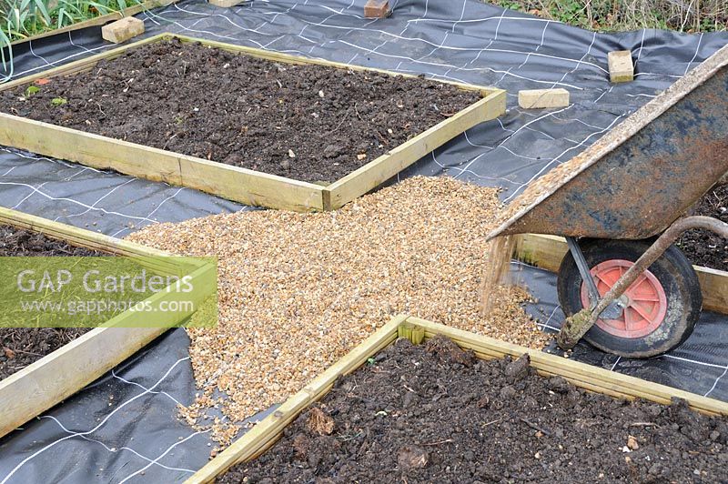 Path construction, pea shingle being poured on to weedproof membrane between raised beds, Norfolk, UK