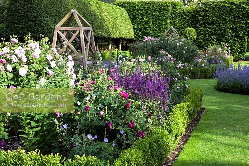A Formal Rose Garden, with Rectangular Box beds oak Obelisk, Rosa 'Charles de Mills', Rosa 'Fantin-Latour', dark purple flowers of Salvia nemerosa 'Caradonna'