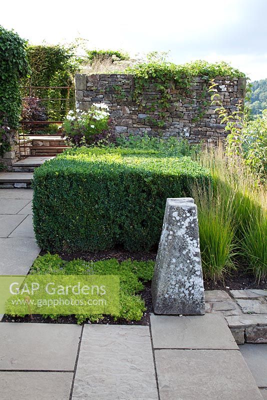 Contemporary country garden, with Box squares, stone paving, ornamental grasses Molinia caerulea ssp. caerulea 'Heidebraut', pots planted with Cosmos 'Purity'