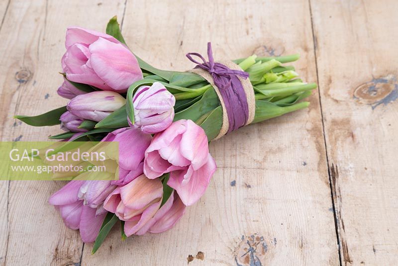 Bouquet of Tulipa triumph 'Synaeda Amor' and Tulipa 'Flaming Flag' on a table