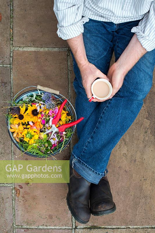 Gardener with a cup of tea after deadheading flowers - September