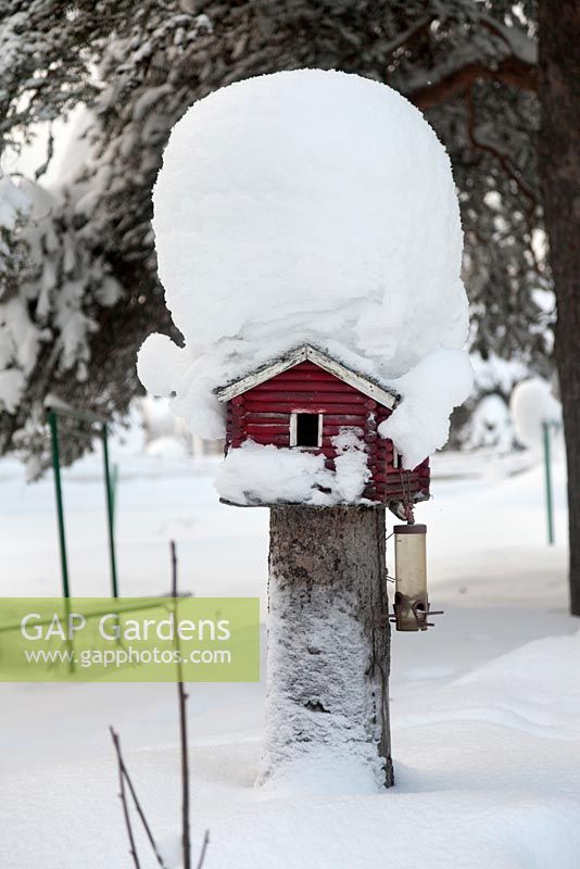 Snow covered wooden bird house, Sweden, January