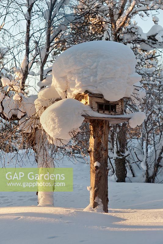 Snow covered wooden bird house, Sweden, January

