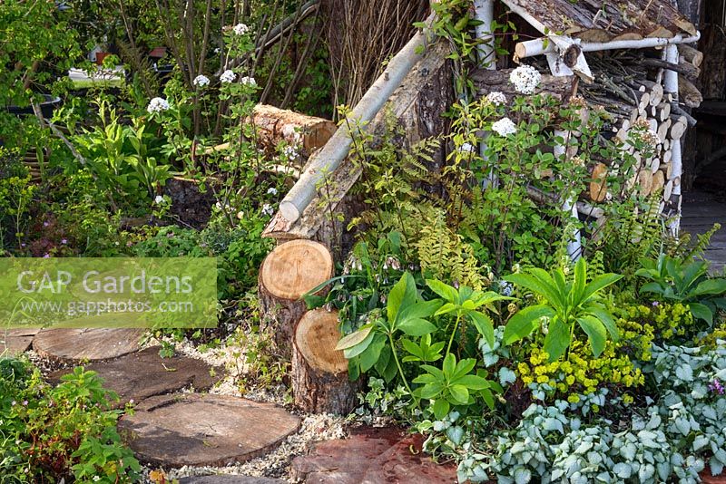 The Woodcutter's Garden with Helleborus, Lamium, Geraniums and Viburnum. RHS Malvern Spring Festival 2016. Design: Mark Walker
