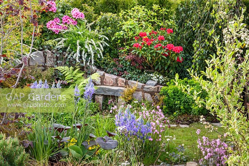 Mixed planting with Camassia esculenta 'Quamash' and Lychnis flos cuculi 'Terry's Pink'. The Water Spout Garden, RHS Malvern Spring Festival 2016. Best Festival Garden. Silver Gilt. Design: Christian Dowle