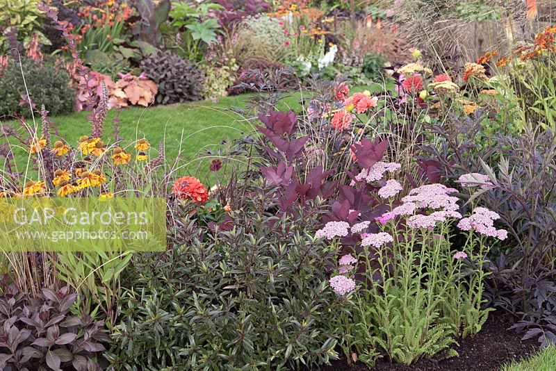 Borders with hot coloured perennials and shrubs. Chocolate Orange Garden, RHS Tatton Flower Show 2011, Cheshire