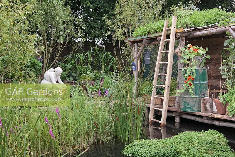 A floating garden with a raised wooden shack with living roof. When the waters rise, RHS Tatton Flower Show 2011, Cheshire