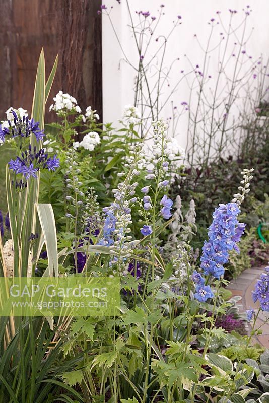 A patio with white walls, perennials in a  blue, purple and lime green  scheme and a dark wooden door. A breath of fresh air, RHS Tatton Flower Show 2011, Cheshire